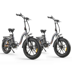 Vakole Y20 Pro 30Ah Dual Battery Electric Bike Bundle (2-Pack)