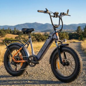 Vakole SG20 250W 20-inch Electric Fat Tire Utility E-Bike with 48V 14.4Ah 691Wh Battery