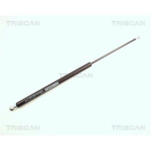 Triscan Gasfeder F?r Heckklappe Mercedes A-Klasse W168